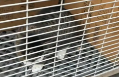 ����һ����4S������50��ֻ����è����������Ա���ϰ�����������ʮ