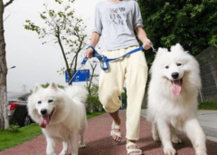 �������޹���˩��Υ��