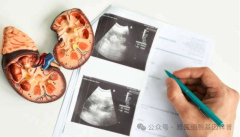 ����ҽԺ���ι��᣺��ϸ��������������ٴ���2026������ʵ�֡�͸