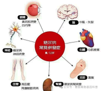 ��������ӭ�ޱ䣡�Ϻ�����ҽԺ�ٴ�֤ʵ��24 �������ø�ϸ����